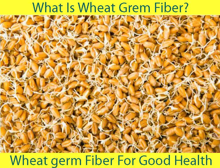 Wheat germ Fiber For Good Health