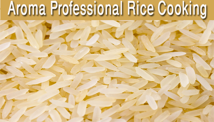 Aroma Professional plus Rice Cooker