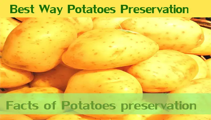 How long do potatoes last