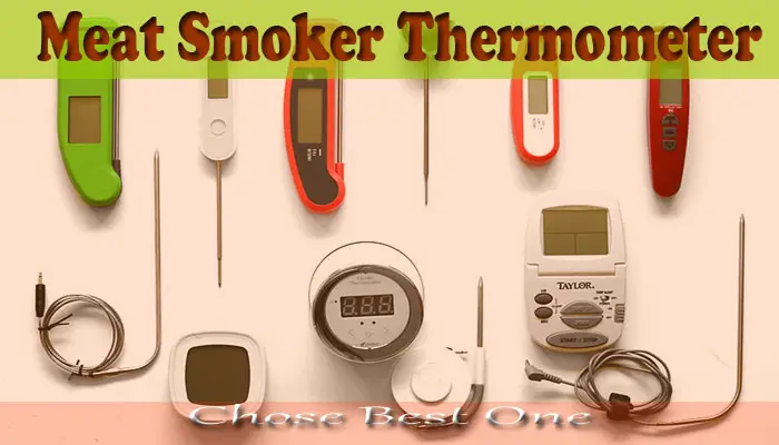 Best Meat Smoker Thermometer