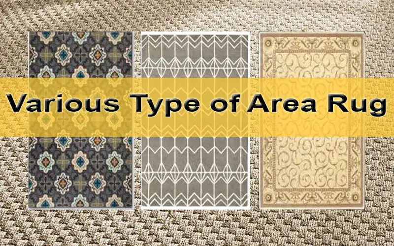 Type of Area Rugs