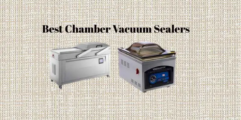 Best Chamber Vacuum Sealers
