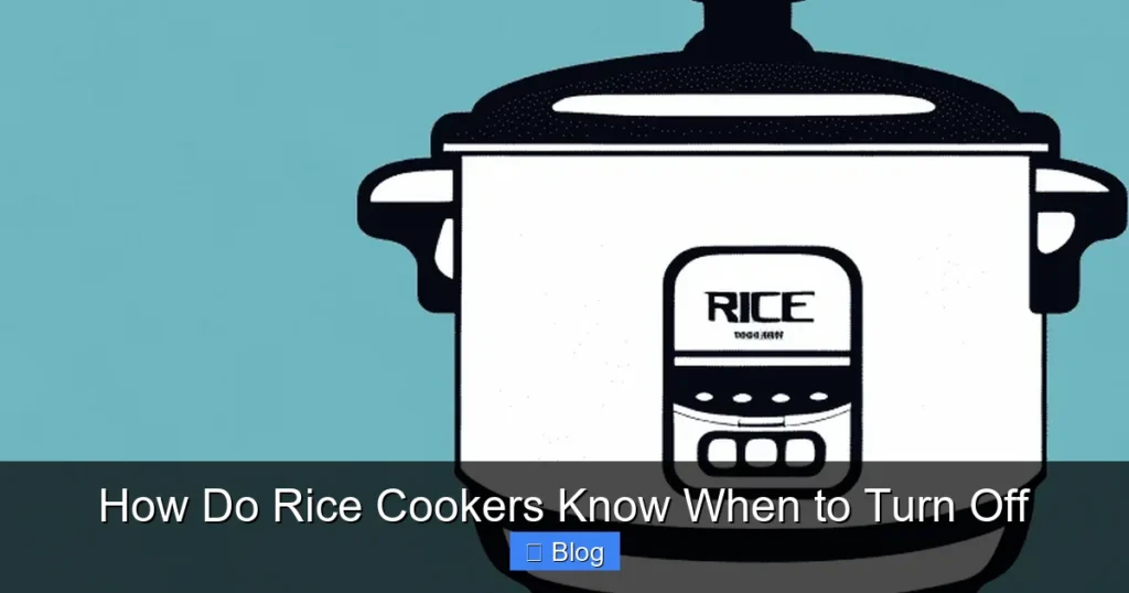 How Do Rice Cookers Know When to Turn Off