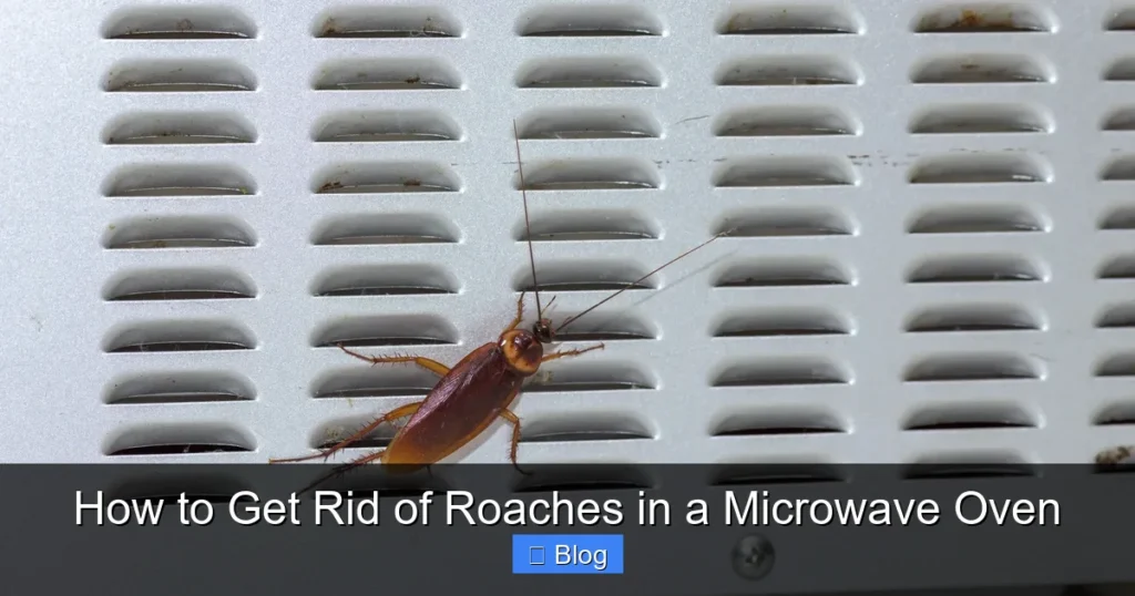 How to Get Rid of Roaches in a Microwave Oven