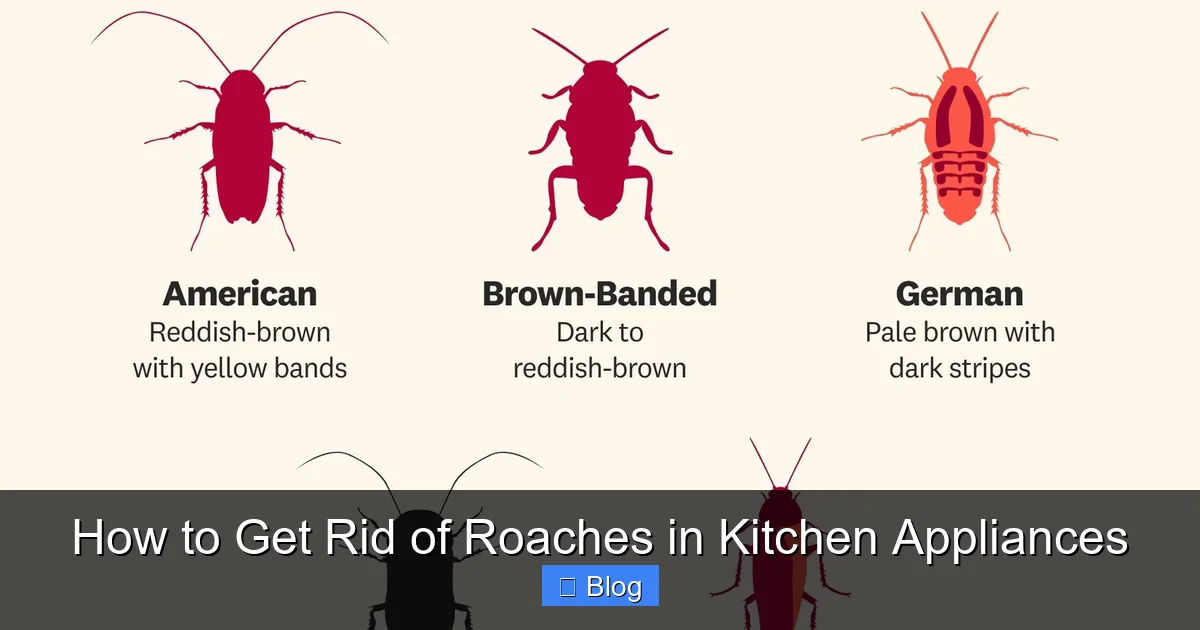 How to Get Rid of Roaches in Kitchen Appliances