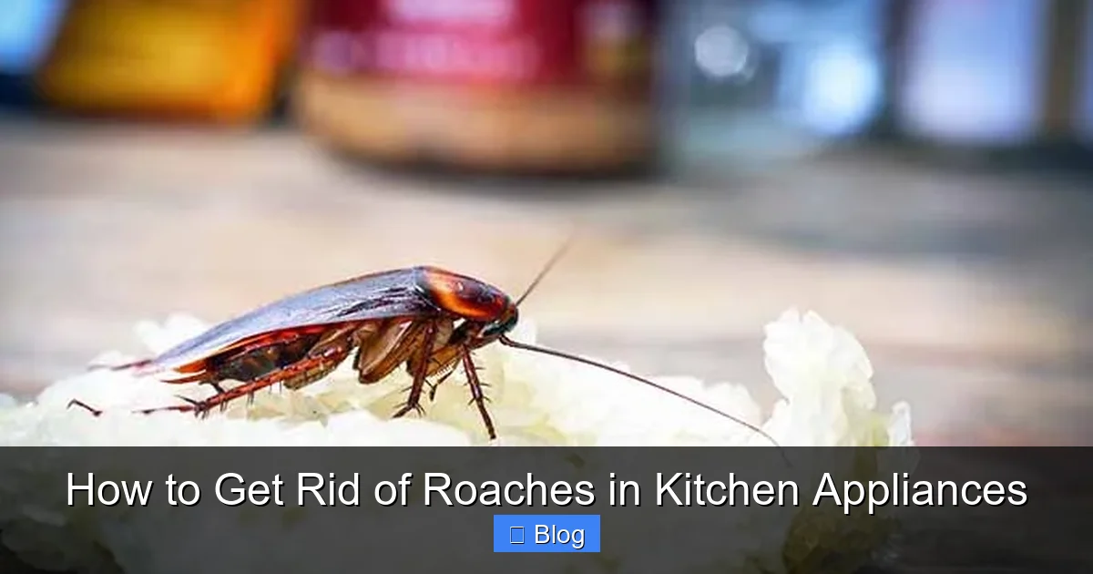 How to Get Rid of Roaches in Kitchen Appliances
