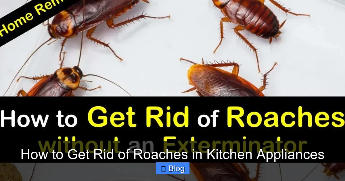 How to Get Rid of Roaches in Kitchen Appliances