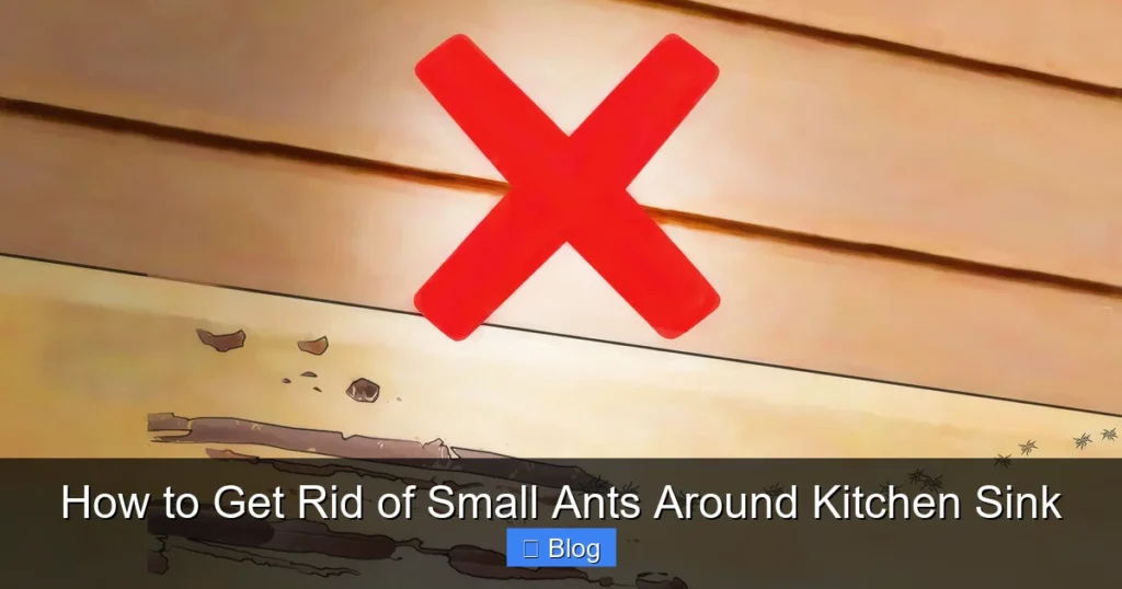 How to Get Rid of Small Ants Around Kitchen Sink