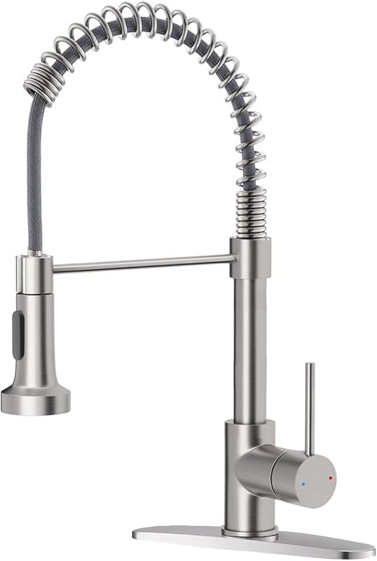 Dual Function Brushed Nickel Pull Out Sink Faucet for Laundry & RVs