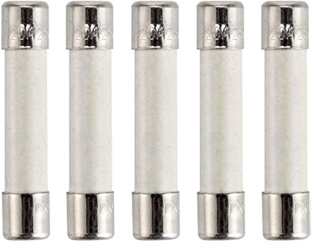 BlueCatELE 20 Amp 250V Slow-Blow Fuse – 5-Pack Replacement for GE WB27