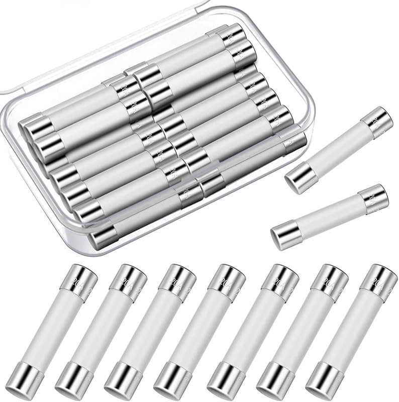 20 Pieces 20 Amp 250V Slow-Blow Microwave Fuse – Compatible with GE WB