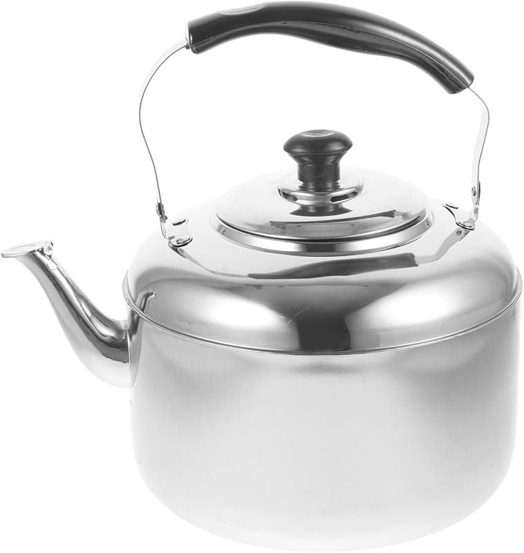 DOITOOL Stainless Steel Tea Kettle – 6L Food Grade Stovetop Whistling 