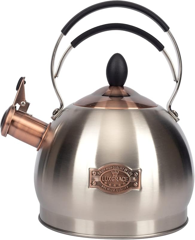 Stainless Steel Whistling Tea Kettle, Induction Stovetop, Fast Boil, 2