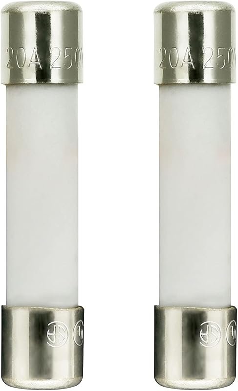 20 Amp 250V Slow-Blow Microwave Fuse – 6x30mm Ceramic Cartridge, 2-Pac