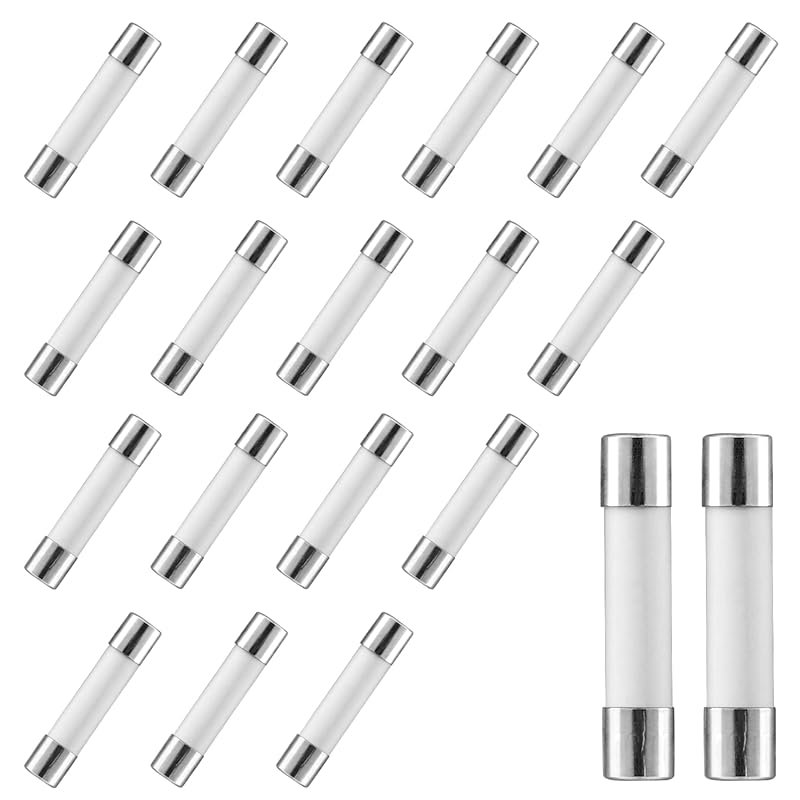 Litoexpe 20-Pack 20 Amp 250V Slow-Blow Ceramic Fuse – 6x30mm for Micro