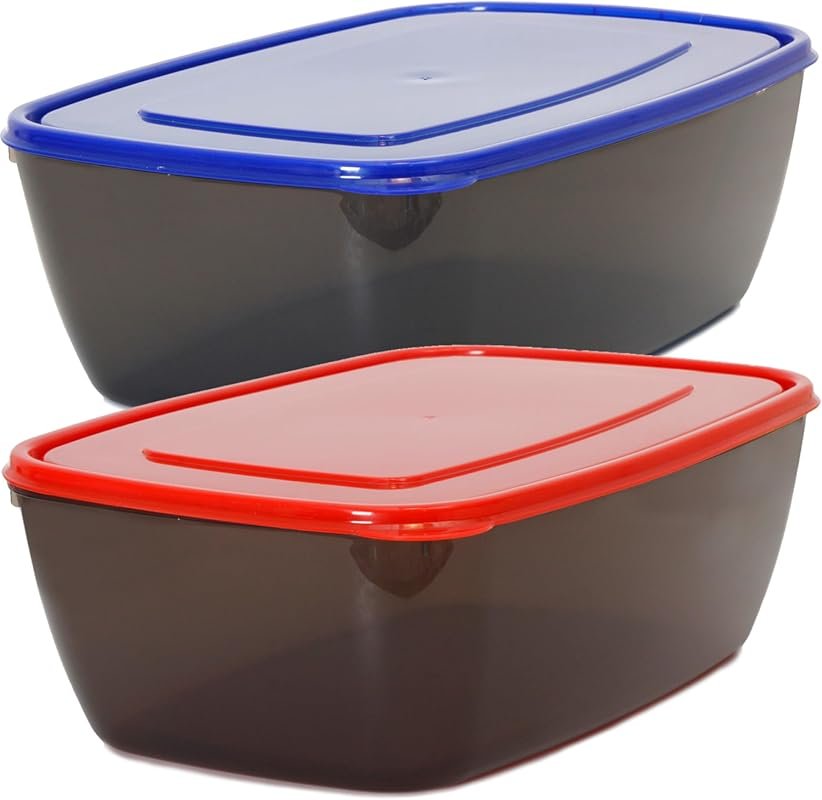Youngever 2.5 Gallon Extra Large Food Storage Containers, 2 Pack