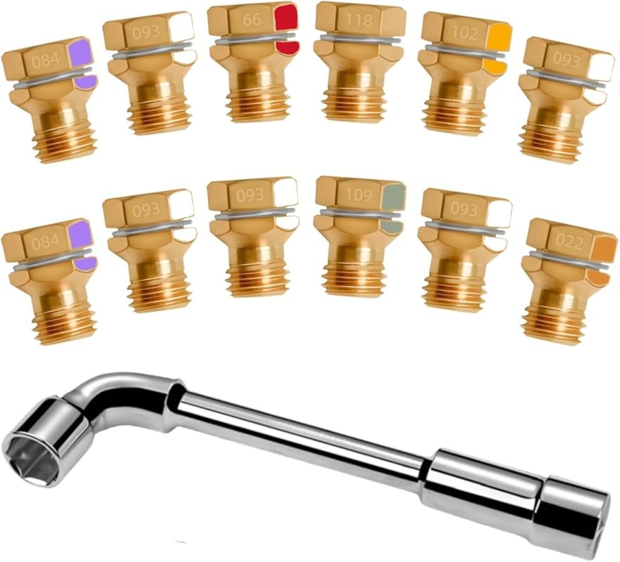 Natural Gas to Propane Conversion Kit with 12 Brass Nozzles for Frigid
