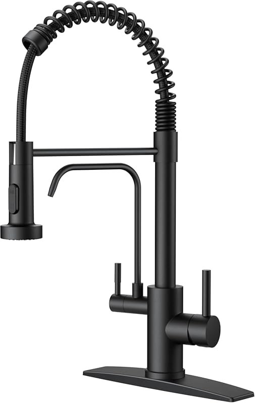 FORIOUS Black Commercial Kitchen Faucet with Purified Water Filter, 2-