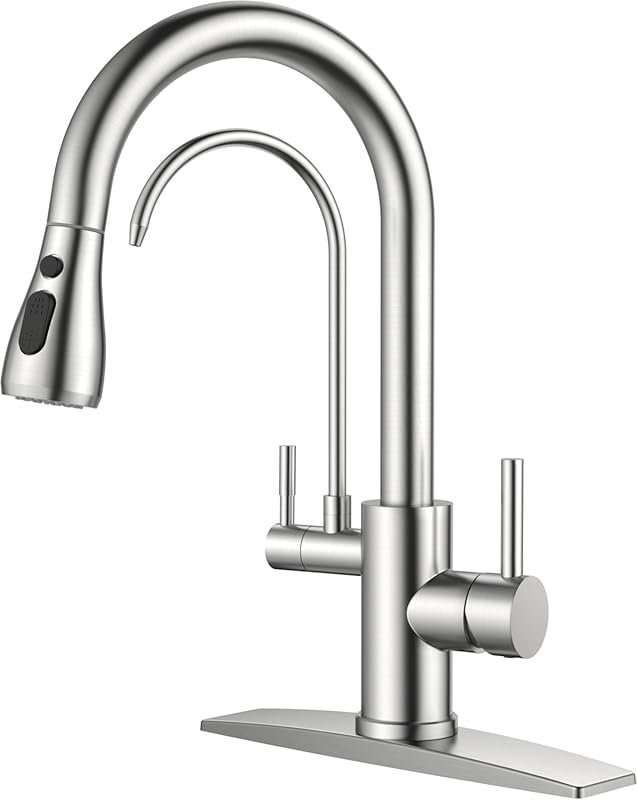 FORIOUS 2-in-1 Stainless Steel Pull Down Faucet with Built-In Filter, 