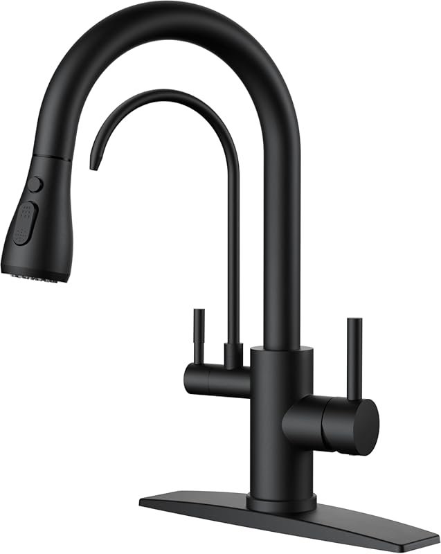 FORIOUS Black 2-in-1 Stainless Steel Kitchen Faucet with Water Filter,