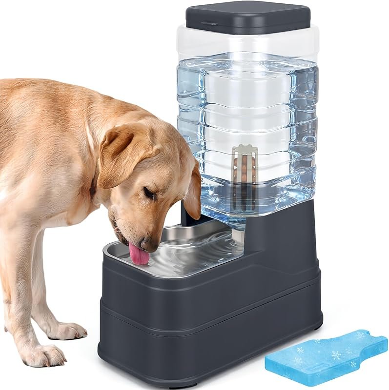2.2 Gallon Automatic Dog Water Dispenser with Stainless Steel Bowl & I