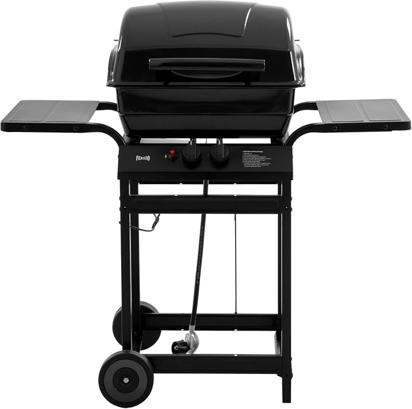 Feasto 2-Burner Propane Grill with 26.5K BTUs, Warming Rack & Side Tab
