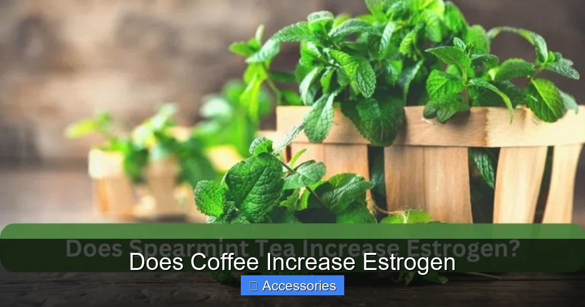 Does Coffee Increase Estrogen