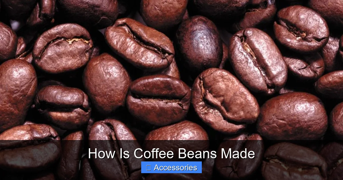 How Is Coffee Beans Made
