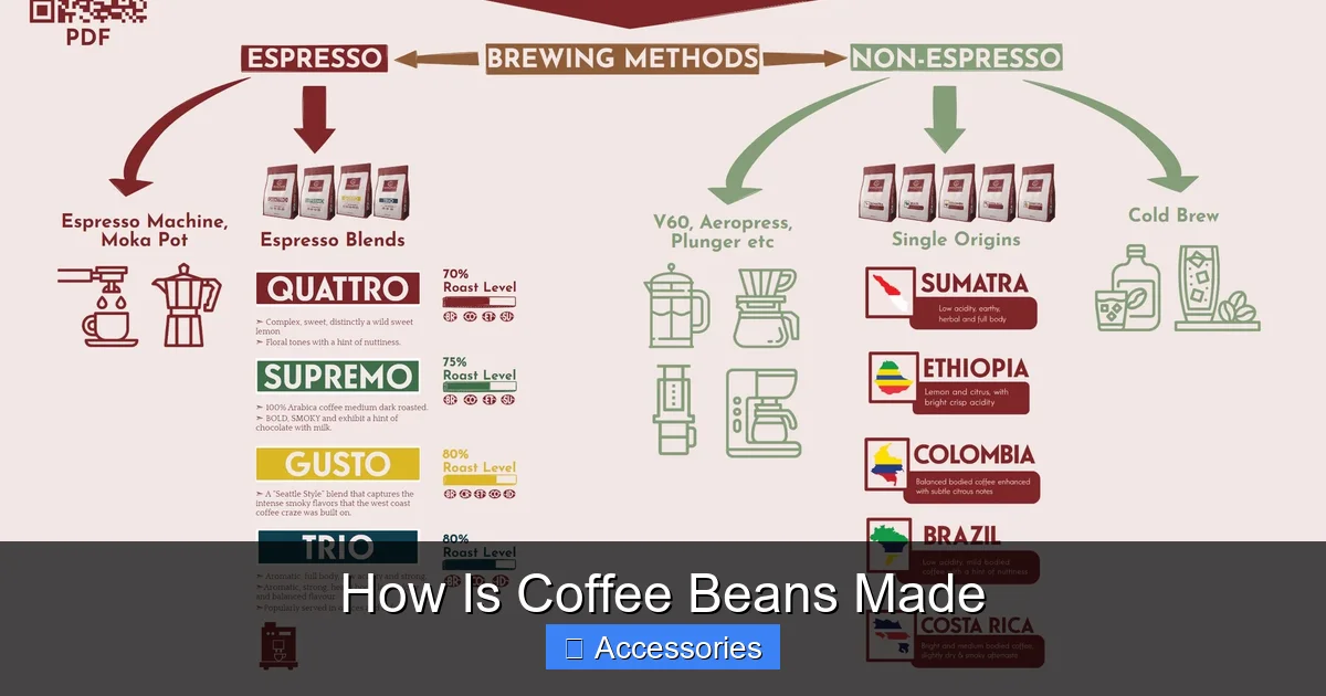How Is Coffee Beans Made