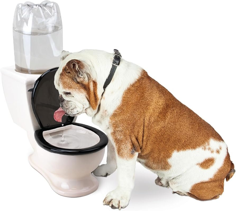 BigMouth Inc. Toilet‑Style Ceramic Water Dish – Holds 2 L Bottle, Funn