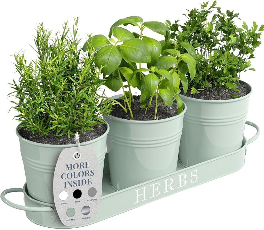 Barnyard Designs Mint Metal Herb Garden Pots with Tray – Set of 3 Indo