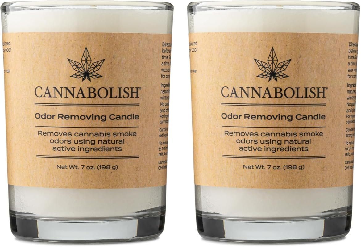 AOOVOO Fantasy Ocean Odor Eliminating Soy Candle – Non-Toxic Air Fresh