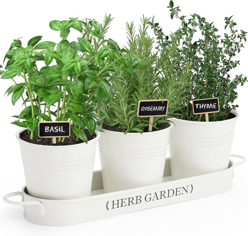 PERFNIQUE Indoor Herb Garden with Tray & Farmhouse Pots for Windowsill