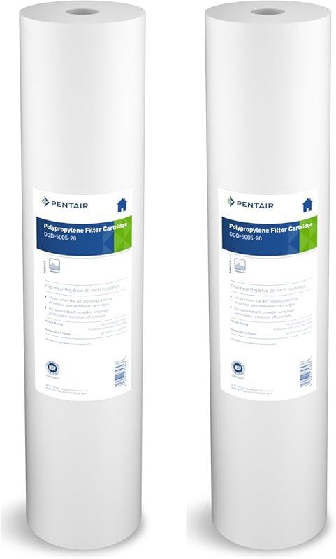 Pentair Pentek DGD-5005-20 20