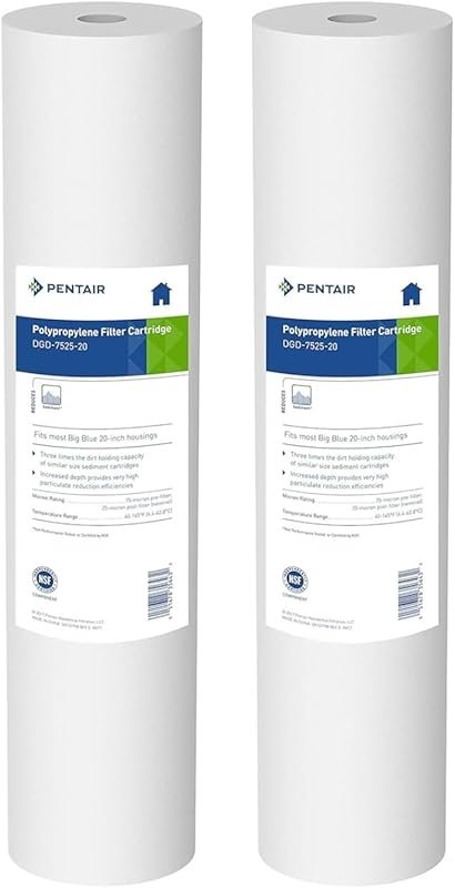 Pentair Pentek DGD-7525-20 20