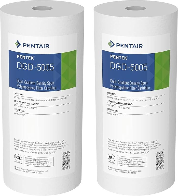 Pentair Pentek DGD-5005 10