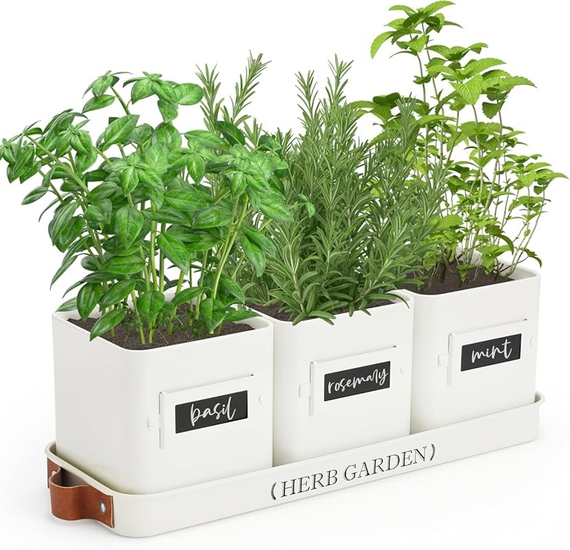 PERFNIQUE Indoor Herb Garden Set with Tray, Drainage & Farmhouse Pots 