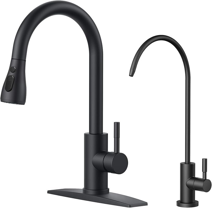 FORIOUS Black Stainless Steel Bar Faucet with Water Filter, Pull Down 