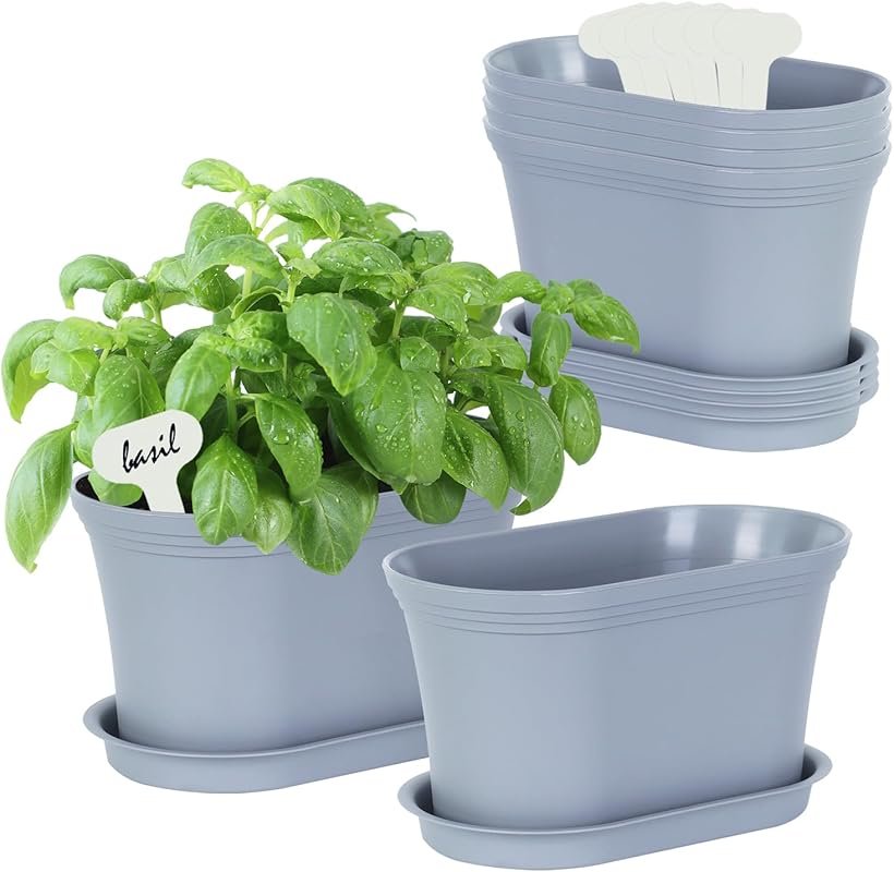 Oliz Grey Oval Windowsill Herb Garden Pots with Tray – Set of 6 Indoor