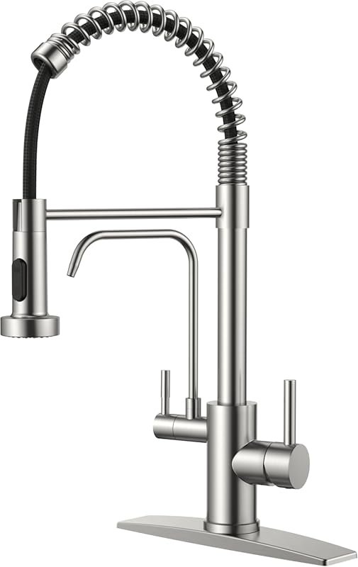 FORIOUS Commercial Stainless Steel 2 Handle Pot Filler Faucet with Pur