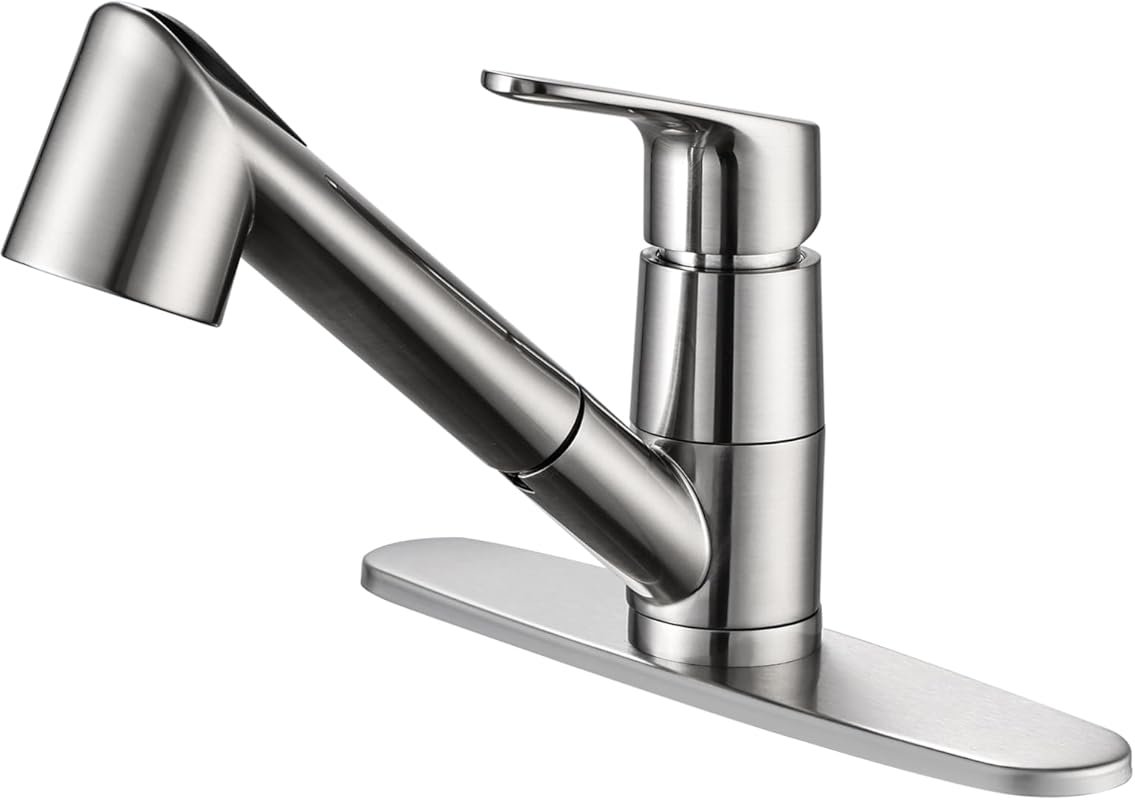 Low Arc Stainless Steel Kitchen Faucet with Pull Down Sprayer, Single 