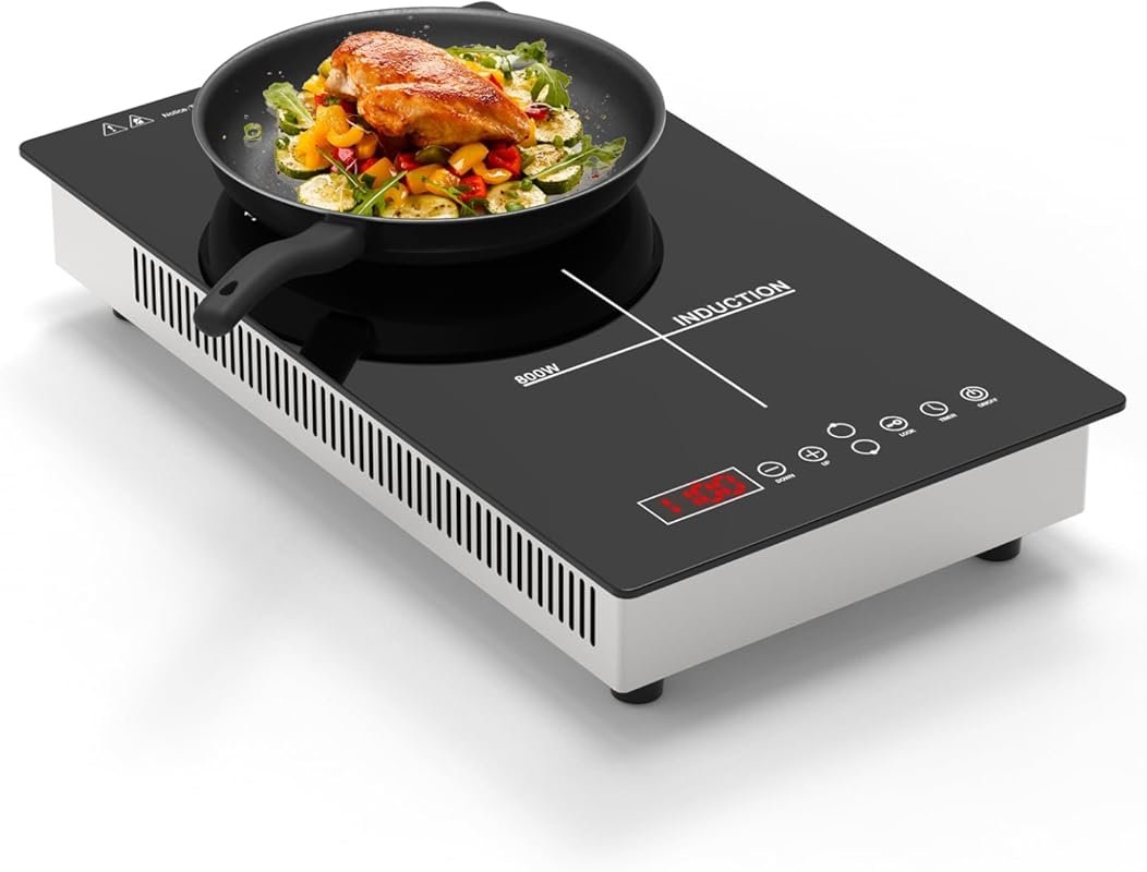 Dual 1900W Induction Cooktop for RV & Camping – 2 Burners, Plug-in, Ti