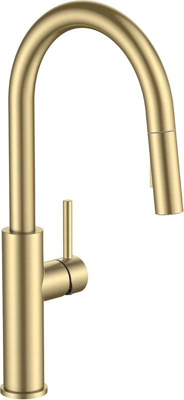 FORIOUS Kitchen Faucet with Pull Down Sprayer, Brushed Gold Single Han
