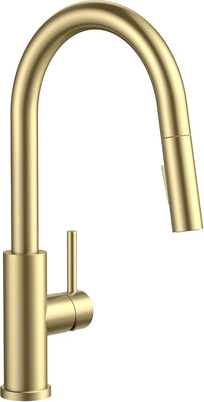 FORIOUS Kitchen Faucets with Pull Down Sprayer, Gold Classic Single Ha