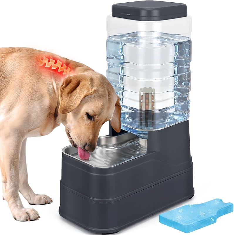 2.2 Gal Automatic Dog Water Dispenser – Gravity Refiller with Stainles