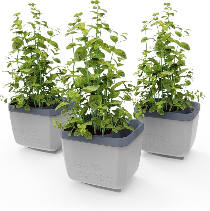 BUZZY Self-Watering Herb Planter with Water Level Indicator – Grey Kit