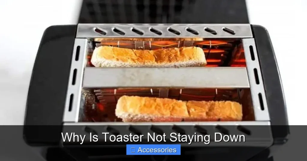 Why Is Toaster Not Staying Down