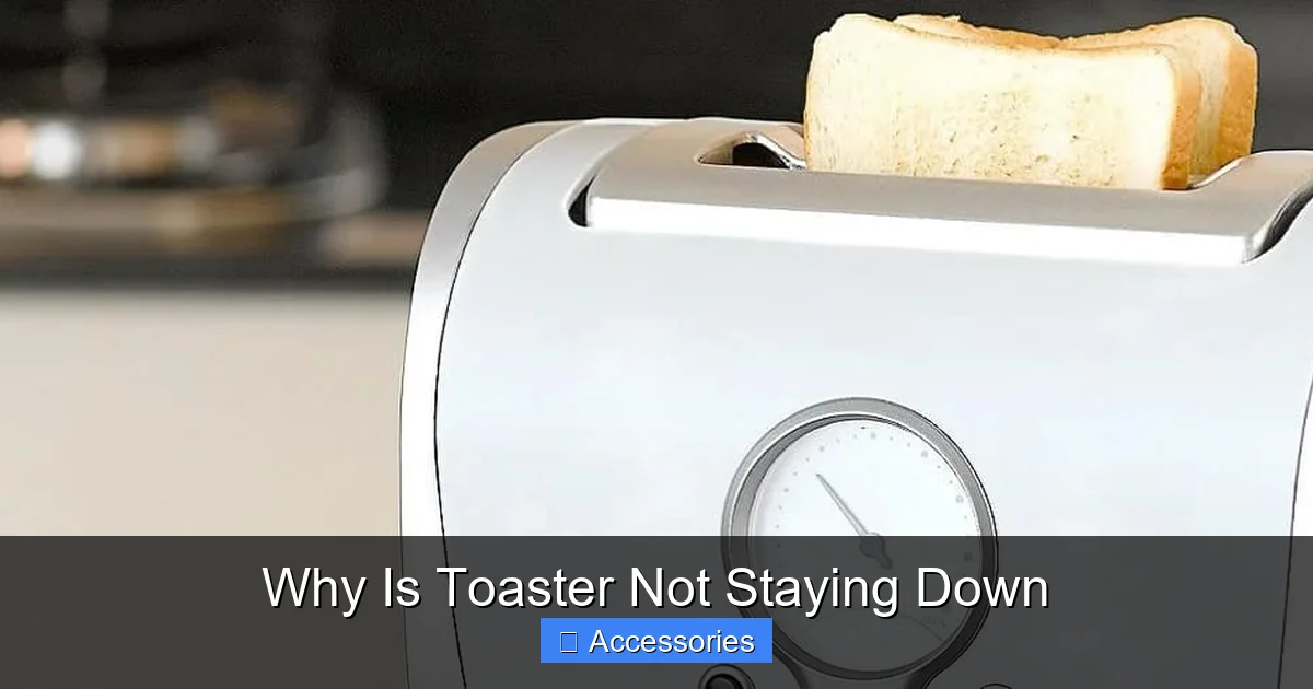 Why Is Toaster Not Staying Down