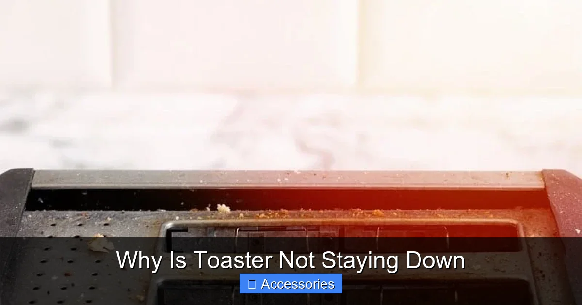 Why Is Toaster Not Staying Down