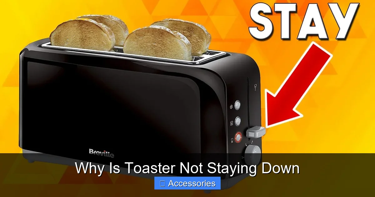Why Is Toaster Not Staying Down